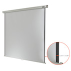 Vorschau: celexon Rolloleinwand Professional 240 x 240 cm - 1:1 - Gain 1,2 - 134"