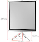 Vorschau: celexon Stativleinwand Economy 219 x 219 cm - White Edition