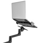 Vorschau: Neomounts DS20-425BL1 - Notebook-Tischhalterung