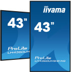 Vorschau: iiyama PROLITE LH4360UHS-B1AG