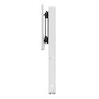 Vorschau: Hagor Medienstele Boden-Wand-Montage - Version breiter Korpus - passend für Cisco WebEx Board Pro 75