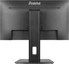 Vorschau: iiyama PROLITE XUB2293HS-B6