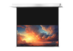 celexon Deckeneinbauleinwand Motor Professional Plus 220 x 137 cm