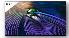 Sony FWD-55A90J 55" OLED-Display 4K UHD