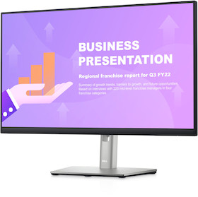 Dell P2422HE USB-C-Hub-Monitor