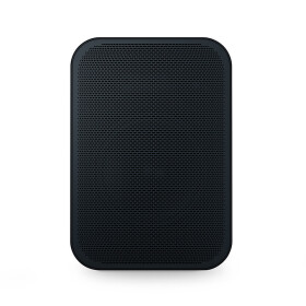 Bluesound PULSE FLEX 2i flexibler Streaming-Lautsprecher, Schwarz