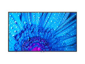 NEC MultiSync M981