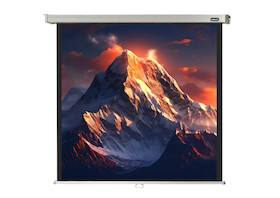 celexon Rolloleinwand Professional 240 x 240 cm - 1:1 - Gain 1,2 - 134"