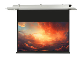 celexon Deckeneinbau Leinwand Motor Expert - 220 x 124 cm - 16:9 - Gain 1,2