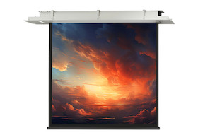celexon Deckeneinbau Leinwand Motor Expert - 180 x 180 cm - 1:1 - Gain 1,2