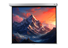 celexon Leinwand Rollo Professional Plus 280 x 210 cm - 138"