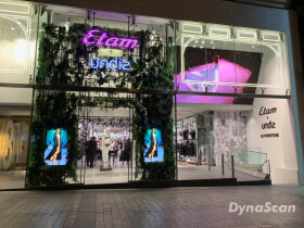 DynaScan DS653LT5 65" Digital Signage Display