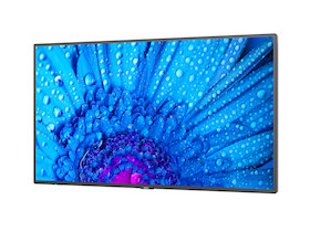 NEC MultiSync M981