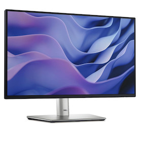 Dell P2425