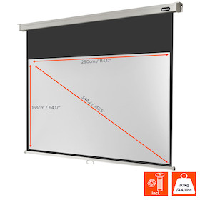 celexon Rolloleinwand Professional 300 x 169 cm - 16:9 - Gain 1,2 - 136"