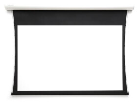Projecta Tension Leinwand Tensioned Elpro Concept RF, 300 x 191 cm, 16:10, mattweiss