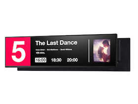 NEC MultiSync BT421 Stretched Large Format Display