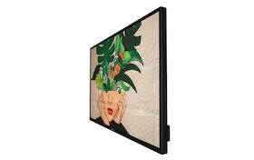 Philips D-Line 86BDL4511D/00
