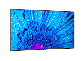 NEC MultiSync M981