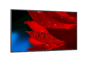 NEC MultiSync P495 49" Digital Signage Display mit 4K UHD