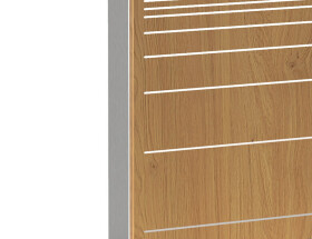 AXEOS XENON WIDE Einzelbildschirm - Bildschirmständer für 65 bis 90" Bildschirme