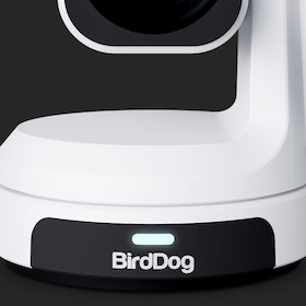 BirdDog MAX professionelle PTZ-Kamera in weiß