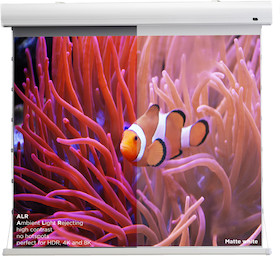 celexon 135" HomeCinema Motorleinwand Tension 298 x 168 cm - Dynamic Slate ALR
