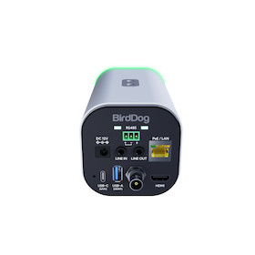 BirdDog Maki Ultra 12x Zoom NDI® | HX3 Kamera, weiß