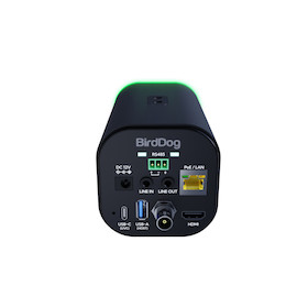 BirdDog Maki Ultra 20x Zoom NDI® | HX3 Kamera, schwarz
