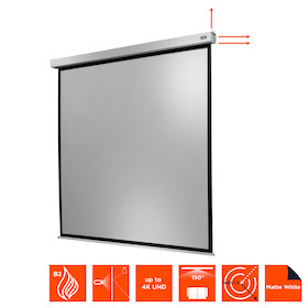celexon Leinwand Motor Professional Plus 120 x 120 cm