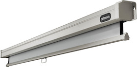 celexon Rolloleinwand Professional 240 x 240 cm - 1:1 - Gain 1,2 - 134"