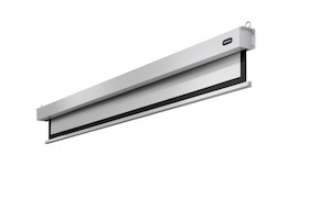 celexon Leinwand Motor Professional Plus 120 x 120 cm