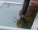 Vorschau: Wacom STU-430 - 11,4 cm (4.5") - 320 x 200 Pixel - 96 x 60 mm - F-STN - Electro-Magnetic Resonance (