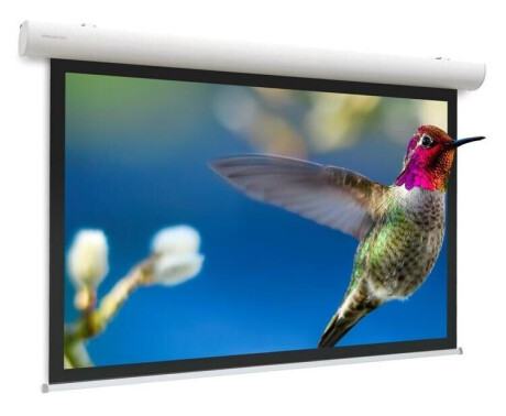 Projecta Motorleinwand Elpro Concept, 300 x 228, 4:3, mattweiss