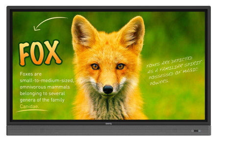 BenQ RP653K 65" Touchscreen mit 4K Auflösung