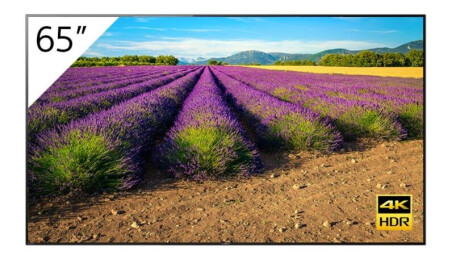 Sony Fwd 65a9g T Bravia Oled Display 65 Mit 3840x2160 4k Uhd Auflosung Oled Display Beamer Discount