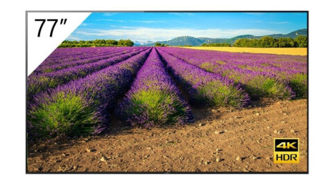 Sony FWD-77A9G/T BRAVIA OLED-Display 77'' mit 3840x2160 4K UHD Auflösung