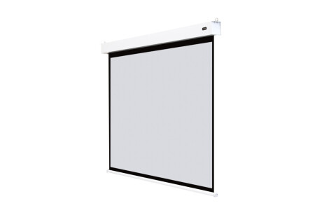 celexon Batterie Leinwand Motor Professional Plus 300 x 169 cm