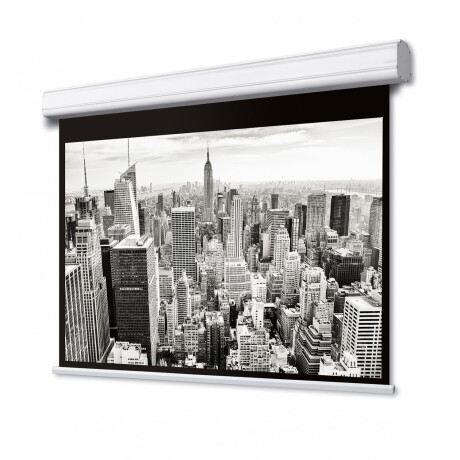 DELUXX Professional Motorleinwand 1:1 Mattweiss Vision Pro 274 x 274 cm