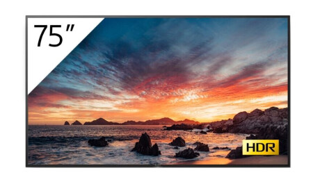 Sony FWD-75X80H/T 75'' Digital Signage BRAVIA TV mit Tuner