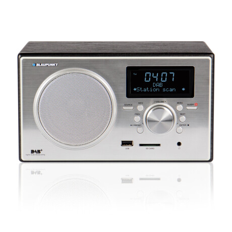 Blaupunkt RXD 35 BK Radio DAB + mit DLS, schwarz