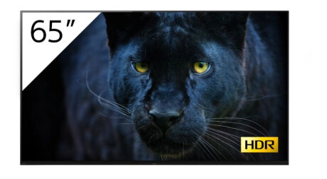 Sony FWD-65A8/T/1 OLED-BRAVIA 4K Professional Display