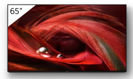 Sony FWD-65X95J