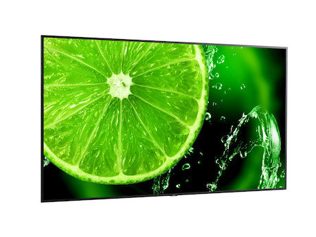 NEC MultiSync E988
