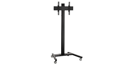 Optoma Standwagen für N-Serie 65" Profi-Display