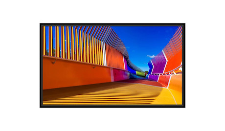 Sharp MultiSync E559 55" Essential Large Format Display