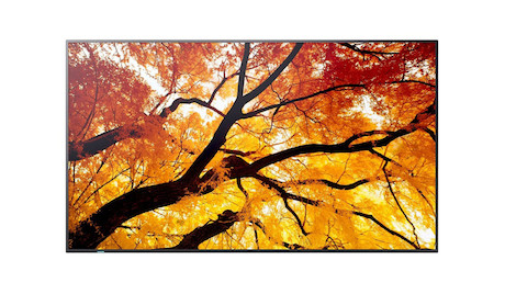 Sharp MultiSync M752 75" Professional Large Format Display