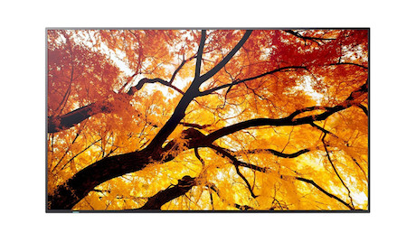 Sharp MultiSync M862 86" Professional Large Format Display