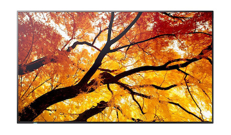 Sharp MultiSync M982 98" Professional Large Format Display