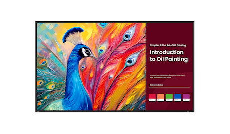 BenQ SH6504 65" Pantone zertifiziertes Pro Signage für professionelle Präsentationen